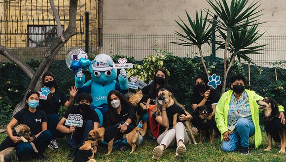 Los colaboradores de la inmobiliaria se unieron para visitar el albergue y así poder brindarle ropa y alimentos a los a perros que más lo necesitan.