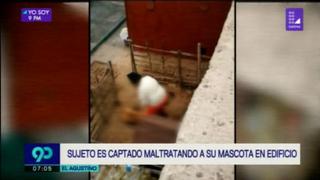 El Agustino: sujeto golpea a su mascota al interior de un ascensor