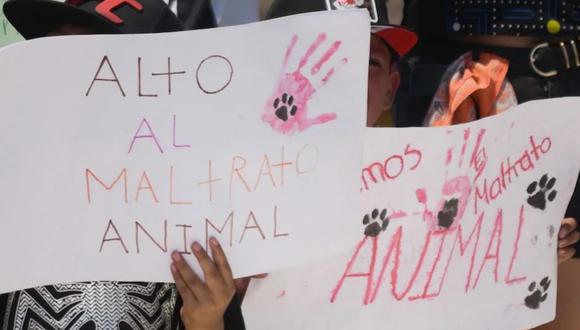 Marcha contra maltrato animal en México, 25 de junio: por hay protestas y en qué estados