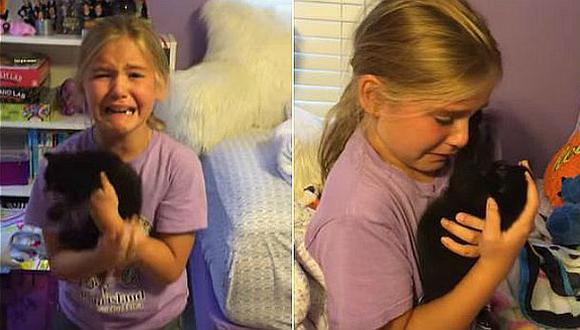 YouTube: niña llora al recibir gatito idéntico al que tuvo