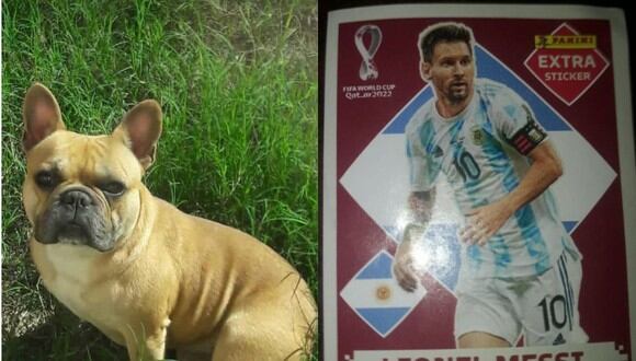 Un niño ofreció su figurita de Lionel Messi para encontrar al perro que le robaron a su amiga. (Foto: Facebook/Sol Ayos | TN).