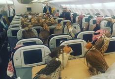 Arabia Saudí: compra 80 pasajes de avión para sus 80 halcones