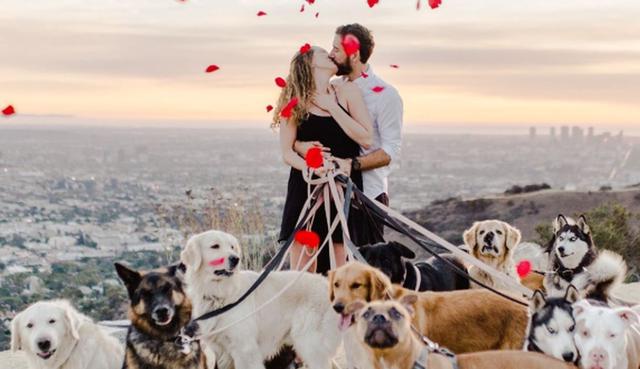 Laura Stampler es la sorprendida y emocionada mujer que aceptó casarse entre lágrimas, risas, abrazos y muchos ladridos. (Foto: Instagram Rebecca Yale Photography)