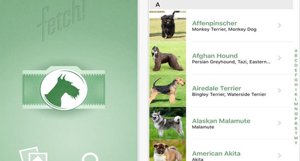 Microsoft lanzó Fetch!, una peculiar app que permite conocer la raza de un perro a través de cualquier fotografía. (Foto: Captura)
