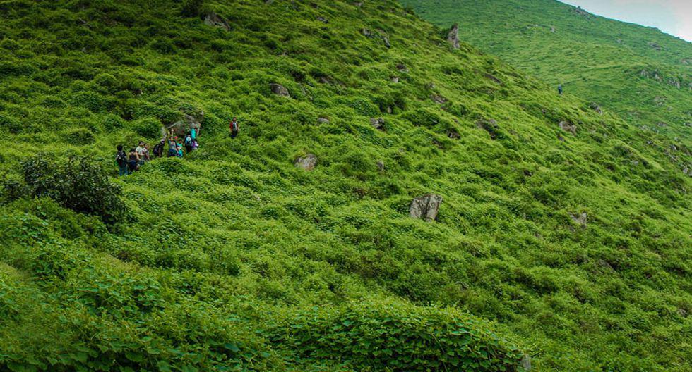 La estación húmeda (de junio a noviembre) es la mejor temporada para ir en familia, con amigos o en pareja.(Foto: Flikr)