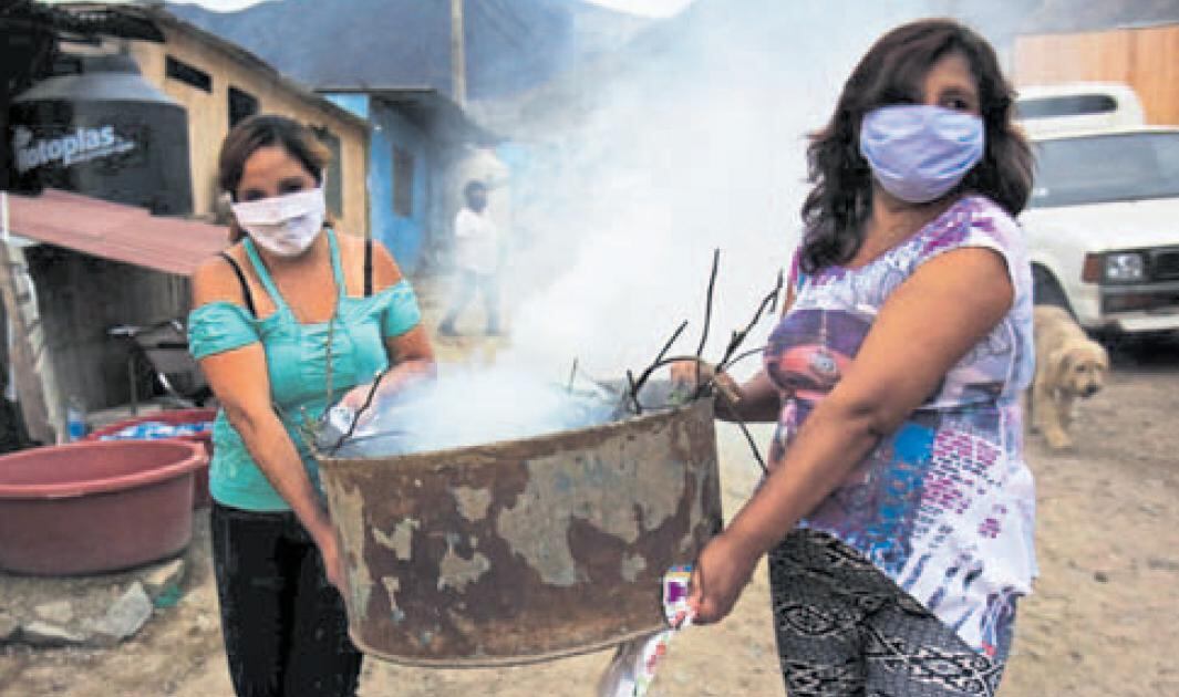 En Collique (Comas), los vecinos, además de limpiar las calles, usan el eucalipto para aliviar síntomas en personas con males respiratorios. (Foto: César Campos)