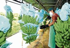 Del desperdicio a la sostenibilidad: la revolución verde en la industria bananera