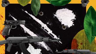La erradicación de la coca ilegal, por Rubén Vargas Céspedes