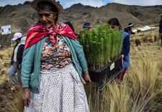 Cusco: la milenaria técnica de siembra y cosecha del agua contra cambio climático 