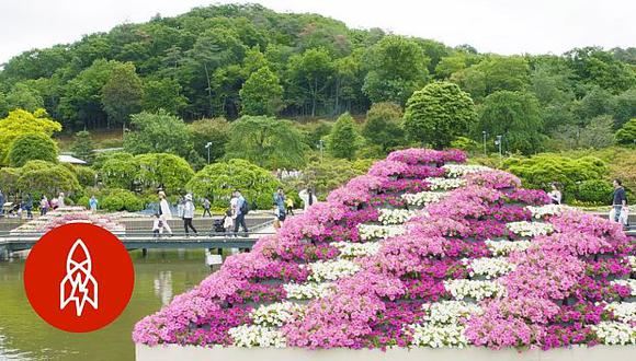 La serie de YouTube paseó por el Ashikaga Flower Park para dar a conocer sus atracciones. (Foto: YouTube)