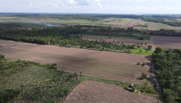 Vista aérea de El Curichi Las Garzas muestra que en el lado oeste de esta área protegida municipal los ocupantes han sembrado cultivos de arroz y soya | Foto: Miguel Surubi.