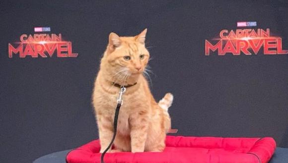 Captain Marvel: ¿quién es Goose? La historia del gato de Carol Danvers (Foto: Marvel Studios)