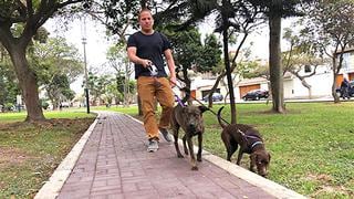 WUF: Autoridades recomiendan dar paseos cortos a nuestros perros durante la cuarentena