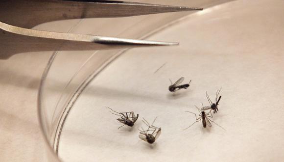 Puerto Rico pagará exámenes del virus chikunguña