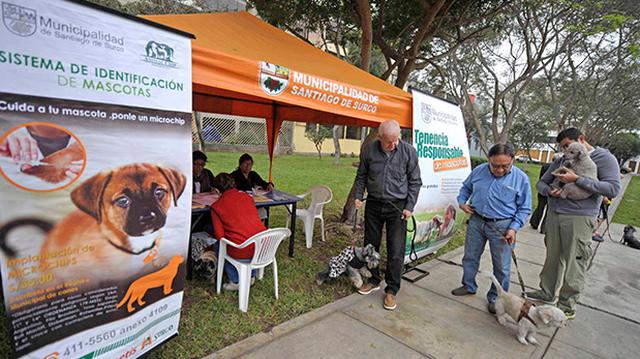 Uso de microchip en canes será obligatorio en Surco - 1