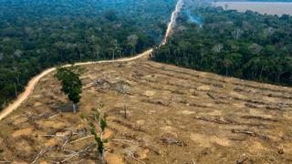 Deforestación de la Amazonía brasileña creció 91% de enero a agosto