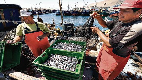 Produce publica norma para ordenamiento pesquero de anchoveta