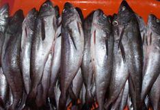 Produce: Pesca de merluza se restablecerá desde este domingo 20 de octubre