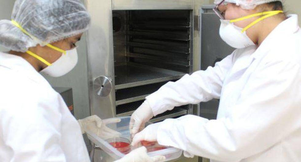 Estudiantes trujillanas crearon un interesante sistema que elimina bacterias y virus de los alimentos (Foto: UPN)