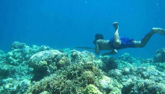 Los Bajau viven de la recolección de mariscos en el fondo del mar. (Foto: Melisa Ilardo)