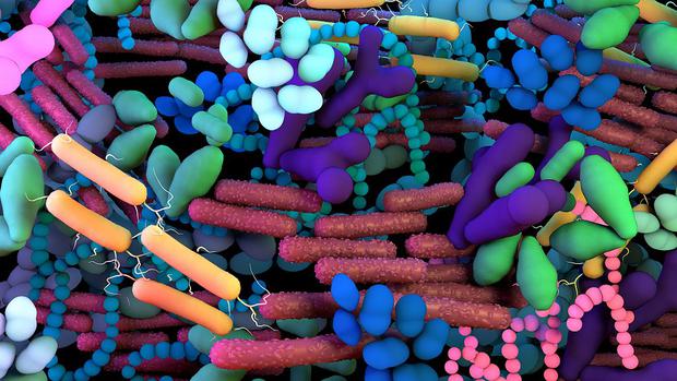 Microbiome: An army of healthy and diverse bacteria that live in your gut.