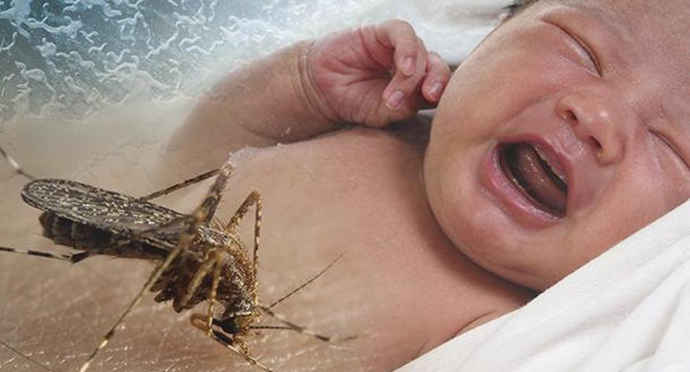 El zika es una enfermedad que puede producir graves consecuencias en bebés. (Foto: IStock)