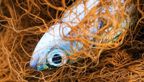 Los defensores de la pesca eléctrica aseguran que es un método pionero. (Foto: Getty Images)