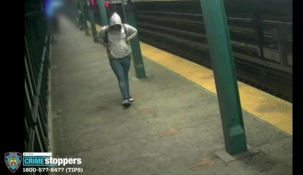 Image of the woman accused of pushing another older woman in the New York Subway.