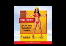Ladrillos Lark: Ministerio de la Mujer se pronunció sobre publicidad