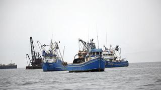 INEI: Actividad de pesca cae en 31,33% en enero por menor captura de anchoveta