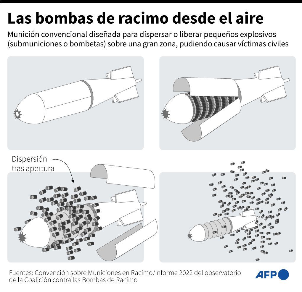 Cluster bomb.  (AFP).