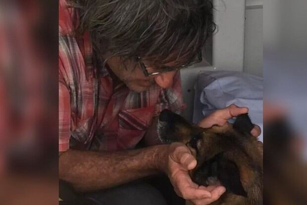 Heidi y su dueño se reencuentran luego de varias horas (Foto: Policía de Queensland)