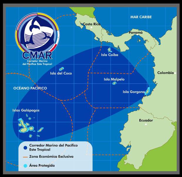 The Eastern Tropical Pacific Marine Corridor is one of the largest marine life conservation areas on the planet.  (CMAR)
