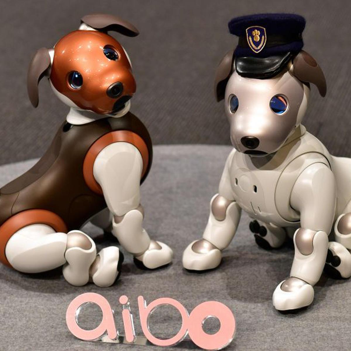 Sony presenta una versión 'policía' de su perro robot Aibo, FOTOS, TECNOLOGIA