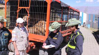 El Perú ya es libre de animales salvajes en circos, según ADI