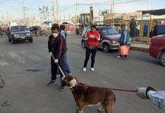 Rabia humana en Arequipa: urge controlar población canina en la región para prevenir casos