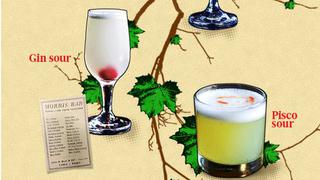 Conoce el árbol genealógico del pisco sour