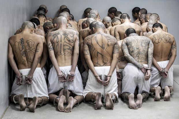 El segundo arribo de internos pertenecientes a las pandillas MS-13 y 18 al nuevo penal Centro de Confinamiento de Terroristas (CECOT) en Tecoluca, San Salvador, el 15 de marzo de 2023. (Foto / AFP).