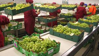 Agroexportaciones crecieron 25,1% a junio tras sumar US$4.293 millones, según Midagri 