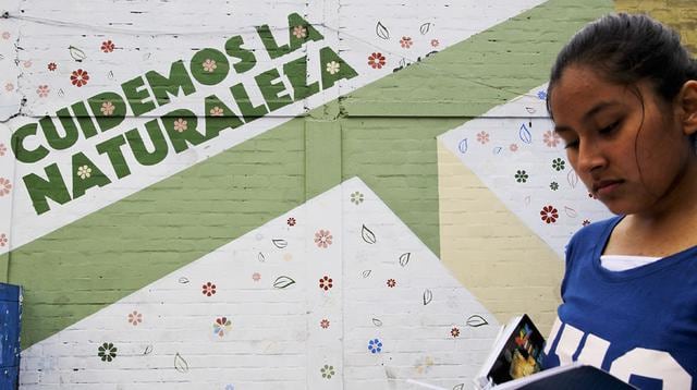 Murales con pintura ecológica combaten contaminación en Lima  - 3