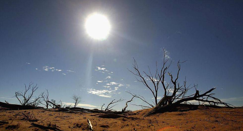 La ola de calor viene acompañada de graves sequías y causa la muerte de centenares de personas. (Foto: Getty Images)