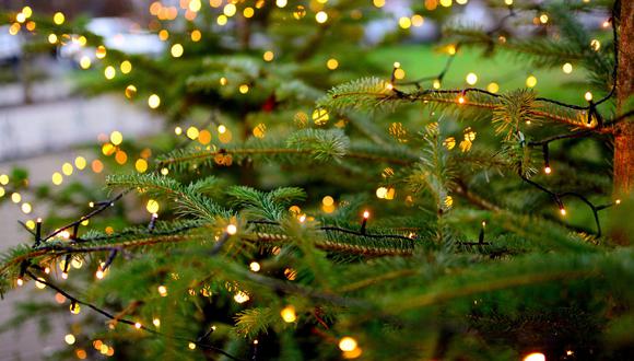 Las luces navideñas deben tener su propio tomacorriente y no enchufarlas junto a electrodomésticos. (Foto: Difusión)