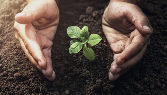 Según el FMI, se necesitarán entre US$ 3 y US$ 6 billones para combatir el cambio climático año a año hasta el 2050. (Foto: Getty)