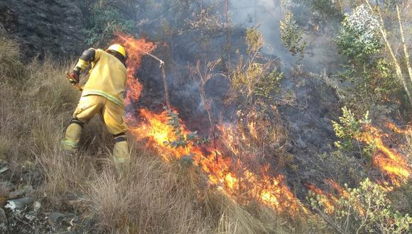 Entre el 2003 y el 2018 se perdieron 174.622,70 hectáreas de cobertura vegetal debido a los  incendios forestales.