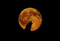 Eclipse de "Superluna de sangre de lobo" | ¿Por qué lleva ese peculiar nombre?