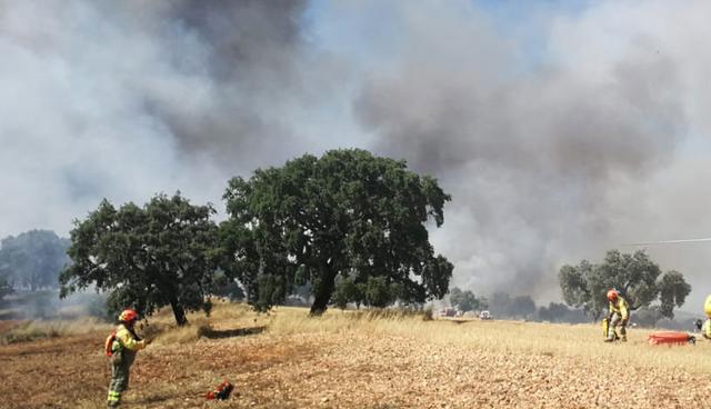 El Gobierno de Portugal se declaró en "situación de alerta", elevando los niveles de preparación de los bomberos, la policía y los servicios médicos de emergencia hasta el 6 de agosto. (Foto: Twitter / @Planinfoex)