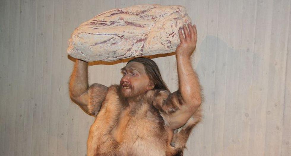 Imagen referencial de hombre de Neandertal. (Foto: Wikimedia)