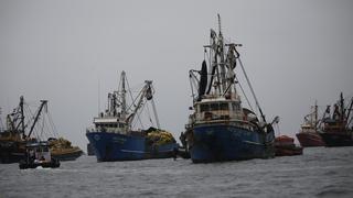 SNI advierte caída de 40% en pesca para consumo humano durante primer semestre