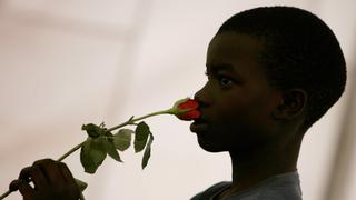 El olfato humano podría distinguir cerca de un billón de olores