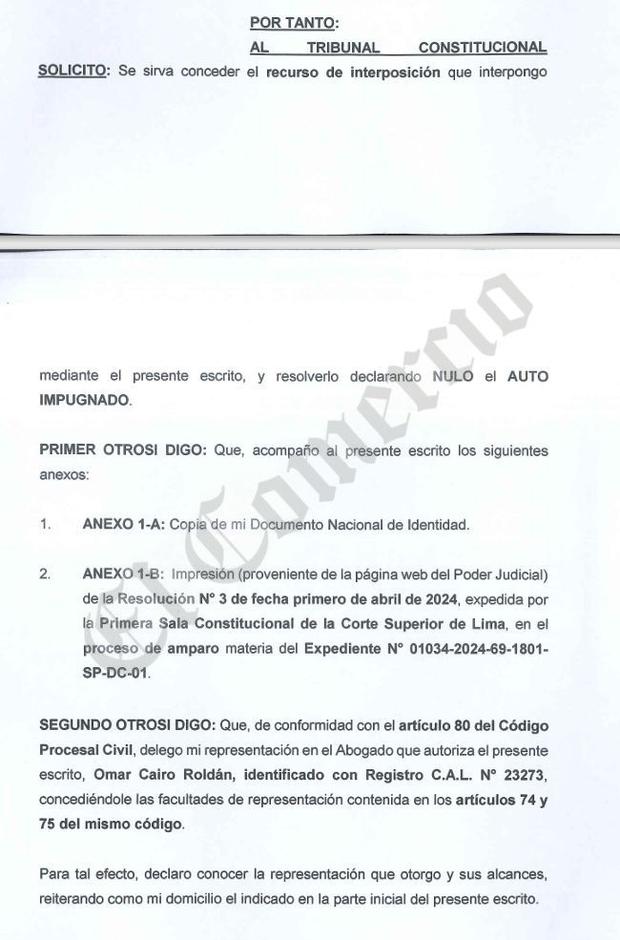 Inés Tello plantea ante el Tribunal Constitucional que se declare nula la resolución que la afecta.